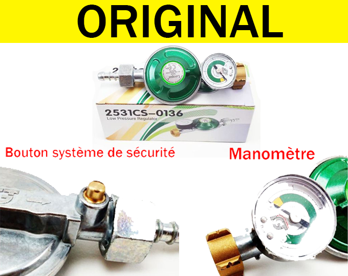 GAZCONTROL™-Détendeur intelligent de gaz avec manomètre de sécurité